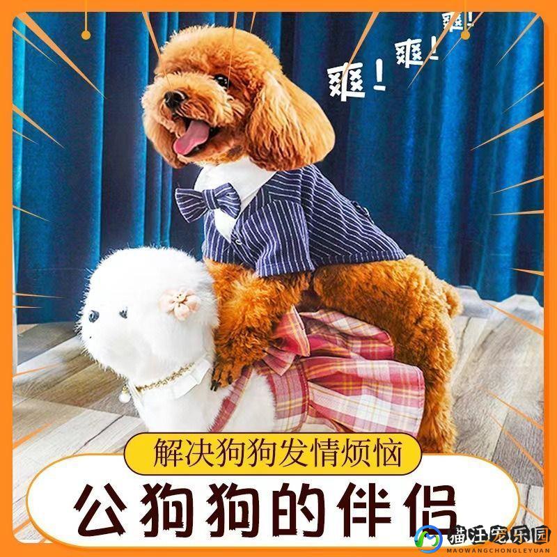 玩具仿真泰迪发泄神器用