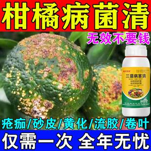 柑橘溃疡病专用药病菌清疮痂黄龙化沙皮黑星穿孔病一喷净沃柑桔子