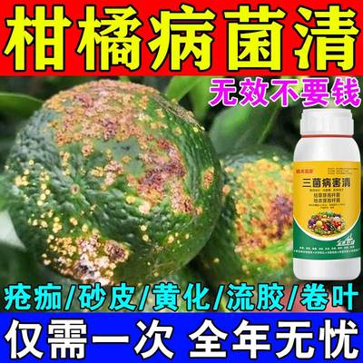柑橘溃疡病专用药病菌清疮痂黄龙化沙皮黑星穿孔病一喷净沃柑桔子