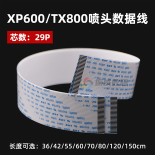 爱普生XP600喷头数据线 29芯写真机TX800排线 UV打印机29P扁平线