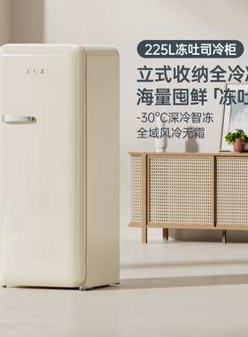 HCK哈士奇复古冰箱全冷冻柜立式冰柜家用客厅风冷大单门奶油风90