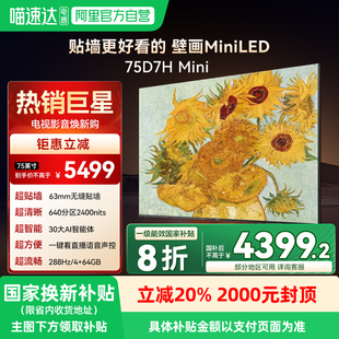 Mini 客厅4K 长虹75D7H TV电视 64GB内存139 政府补贴20%