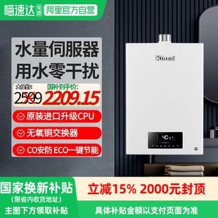 16升D06水伺服家用智能恒温增压静音政府补贴 林内燃气热水器13