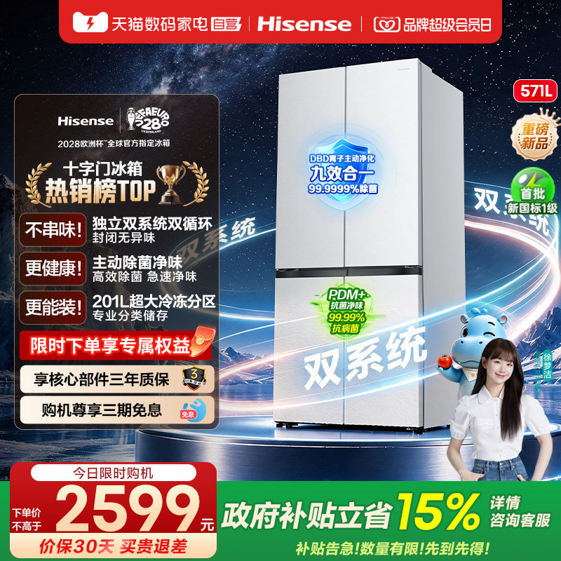 海信囤多多571双系统大容量冰箱图片