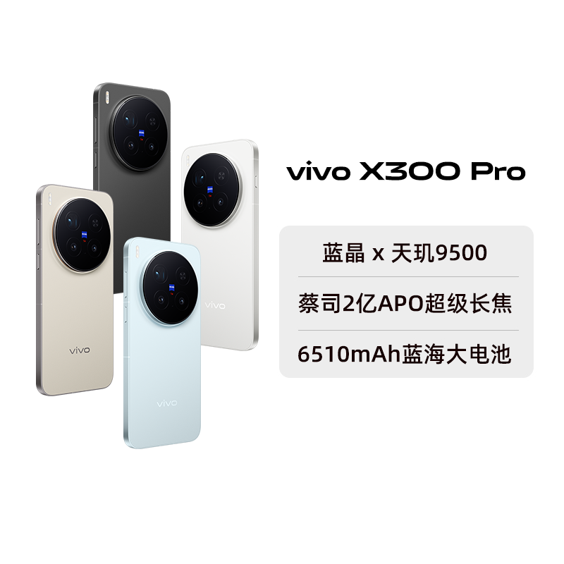 ٷӪvivo X300 ProƷֻȫͨٷ콢ѧϷȫƷӪ-199  12GB+256GB ٷ 4799Ԫ()