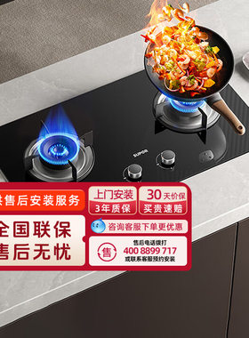 苏泊尔MB08S大火力燃气灶家用双灶天然气液化气台嵌两用灶具