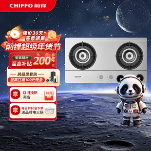 前锋燃气灶ZD205-X煤气灶双灶嵌入式灶具家用厨房天然气大火力 69