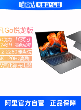 Acer/宏碁非凡Go锐龙版高色域R7-8745H处理器16英寸轻薄本商务办公笔记本电脑179