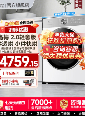 小天鹅热泵式干衣机10HSC18PRO家用衣物全自动滚筒小乌梅烘干机85