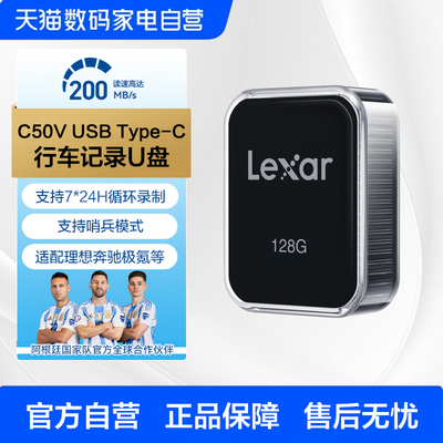 雷克沙Type-C新能源车载U盘循环录像哨兵模式理想极氪奔驰等适配
