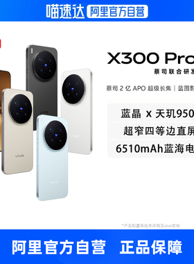 【自营】vivo X300 Pro全网通5G旗舰新品手机天玑9500旗舰芯片蔡司2亿APO超级长焦蓝图影像双芯手机