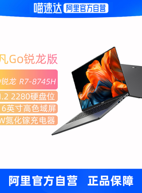 Acer/宏碁非凡Go锐龙版高色域R7-8745H处理器14/16英寸轻薄本办公笔记本电脑179