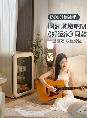 HCK哈士奇冰吧墩墩吧Mini家用客厅办公室复古冷冻冰箱高颜值90