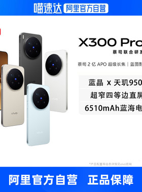 【政府补贴15% 自营】vivo X300 Pro全网通5G旗舰手机天玑9500旗舰芯片蔡司2亿APO超级长焦蓝图影像双芯手机