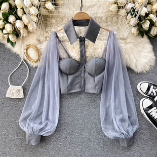 Women Mesh Sheer Blouse See-through Long Sleeve Crop Top Sin