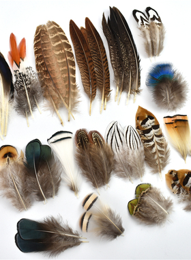 Wholesale Natural Peacock Pheasant Feathers Small Chicken Ge