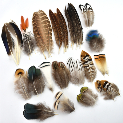 Wholesale Natural Peacock Pheasant Feathers Small Chicken Ge