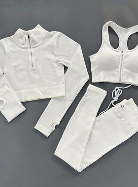 Women Yoga Set Seamless 2PCS Two Piece Crop Top Long Sleeve