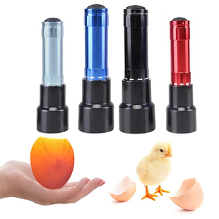 Candling Lamp Egg Cool Light LED Monitor Bright Incubator