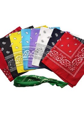 Polyester paisley Square Punk Hip Hop Bandana Neckerchief He