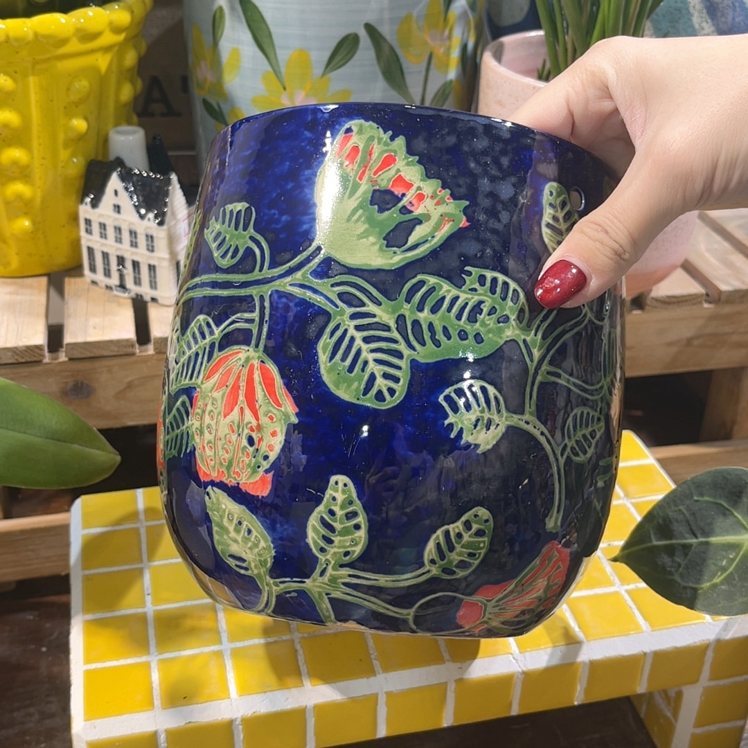 高16口14,鲜花速递/花卉仿真/绿植园艺,花盆,淘宝优惠券,粉丝福利购,淘宝优惠卷