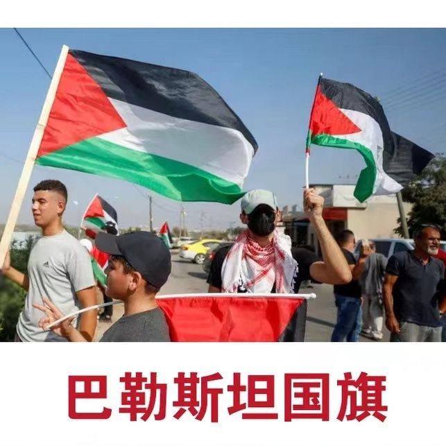 巴勒斯坦国旗世界各国国旗小国旗手摇旗红旗旗帜定制大号国旗