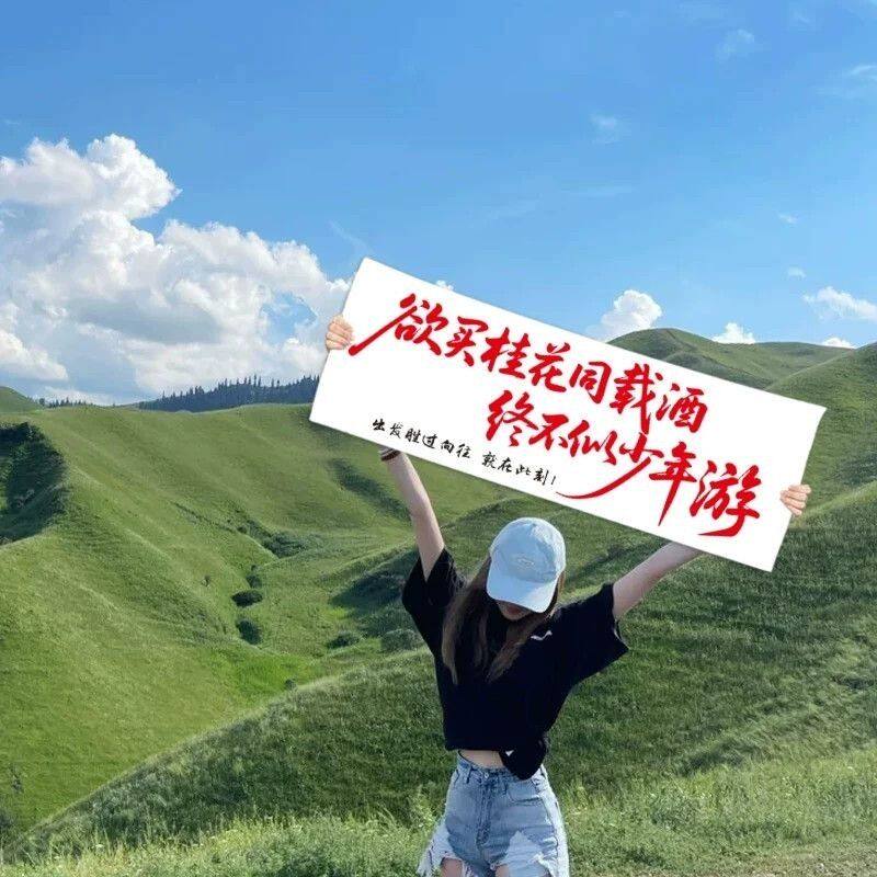 旅游登山拍照小横幅户外露营团建氛围手拉旗定做爬山海边旅行打卡