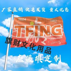 TFING应援大旗明星演唱会手持大旗户外音乐节歌手大旗定制周边