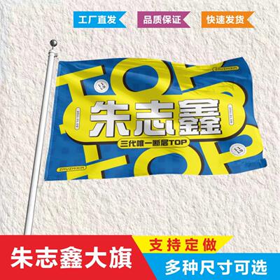 【原创】朱志鑫大旗应援TF