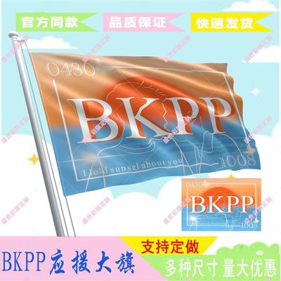 BKP应援大旗音乐节明星户