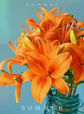 亚白合橙色梦想眼线百合高档百合鲜花家用水养插花