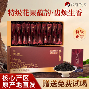 安徽正宗祁门红茶特级祁红香螺祁红悦色官方旗舰店茶叶100g小袋装