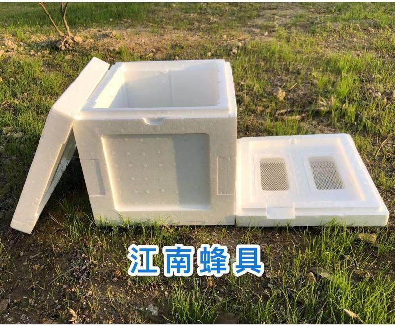 中蜂意蜂交尾箱育王箱泡沫蜂箱育种箱大棚授粉箱国宝箱小型交尾12
