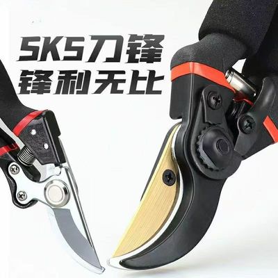 德国进口原装强力修枝剪刀树枝修剪果园园林粗枝剪子园艺花艺剪刀
