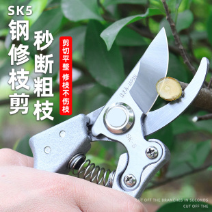 SK5剪刀修枝剪园艺剪刀果树花卉弹簧剪子剪树枝专用剪刀园林工具