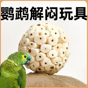 鹦鹉通草球啃咬解闷娱乐用品纯天然植物鸟玩具玄凤牡丹虎皮磨牙棒