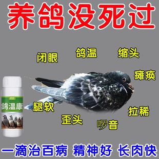 鸽温康鸽子药大全预防拉稀绿便新城疫甩头歪脖没精神抗病毒专用药