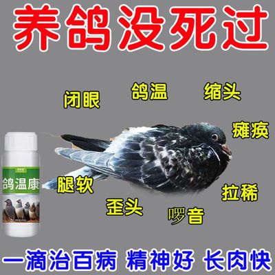 鸽温康鸽子药大全预防拉