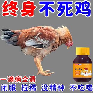 禽一滴禽类急救包鸡鸭鹅急救片呼吸道感冒呼噜养殖场养鸡专用全治