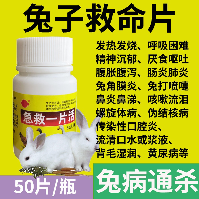 兔子常備藥驅蟲預防拉肚子急救片