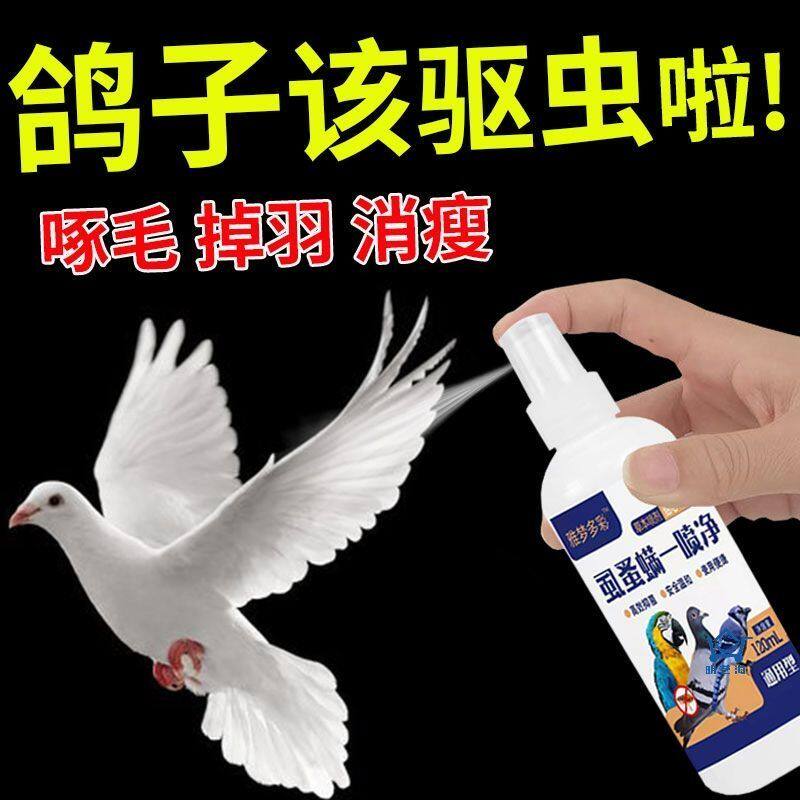 鸽子羽虱药羽虱螨虫寄生虫一喷净鸽药大全驱虫药鸽子体外驱虫喷雾