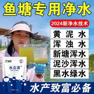 水立清浊水净池塘水质净化浑浊污水产养殖鱼塘变清净水剂鱼池净化