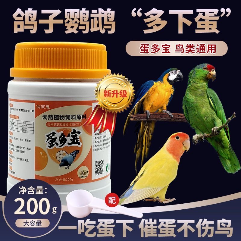 【100%受精】鸽子催蛋神器下蛋
