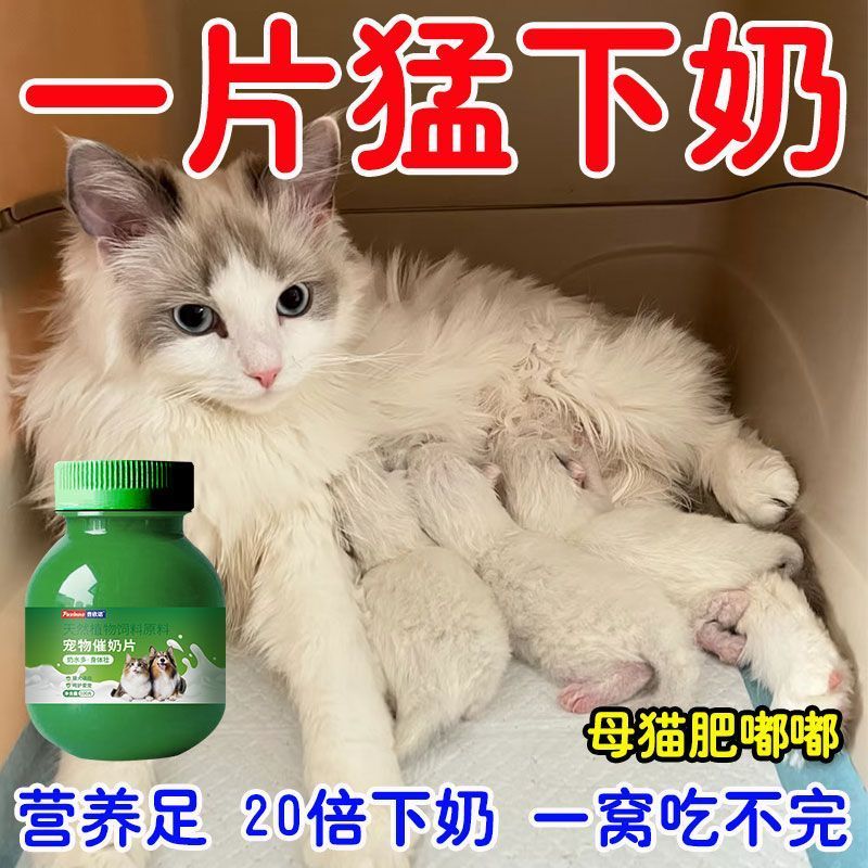 催奶狗狗猫咪产后下没奶