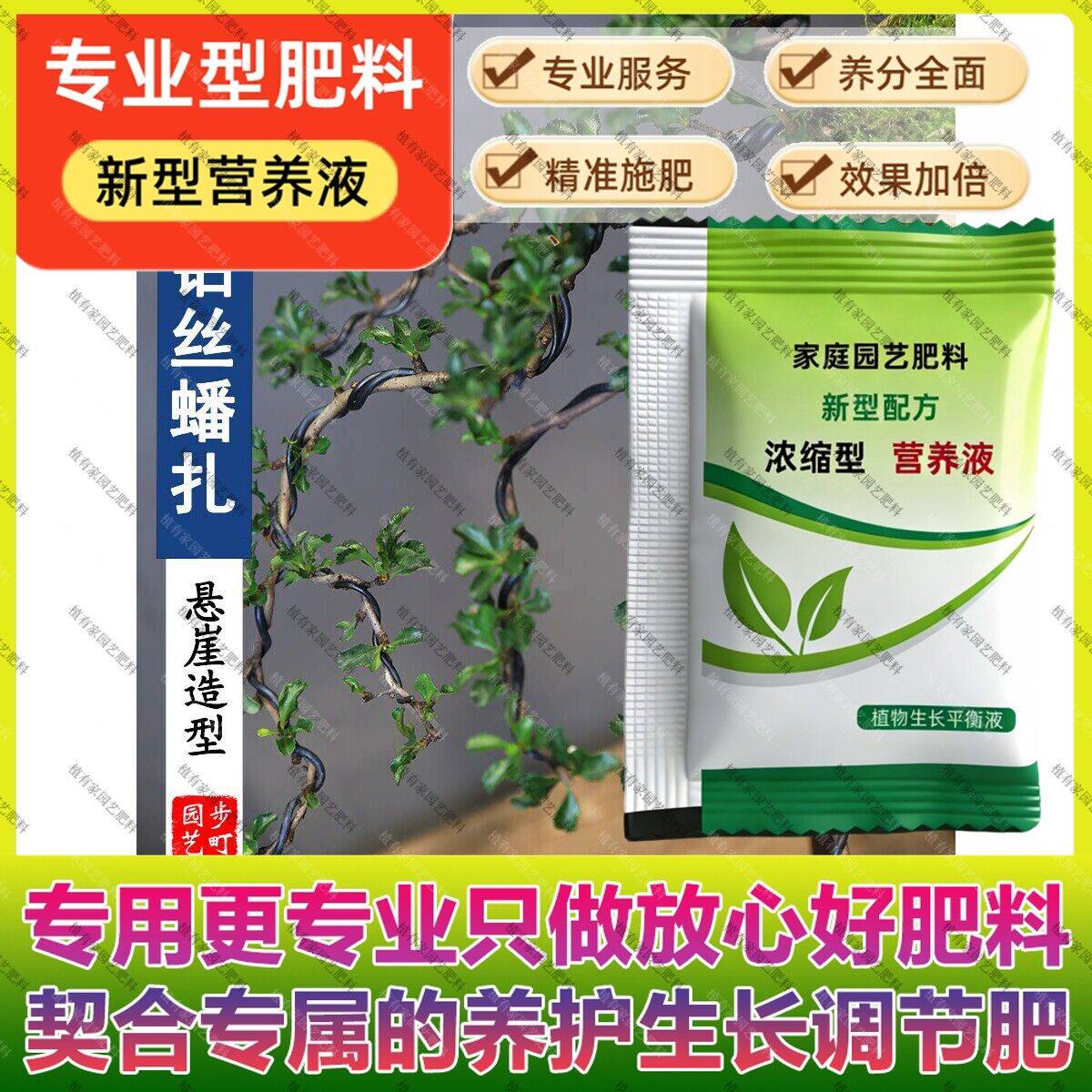 日本红花一号长寿梅专用肥料养护营养液悬崖造型老桩小盆栽开花挂