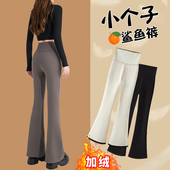 子女秋冬外穿高腰垂感弹力打底裤 小个子微喇裤 加绒鲨鱼微喇叭裤