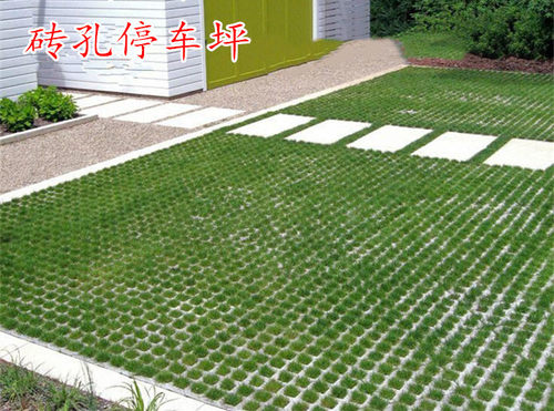 云鲜农不开花四季停车坪