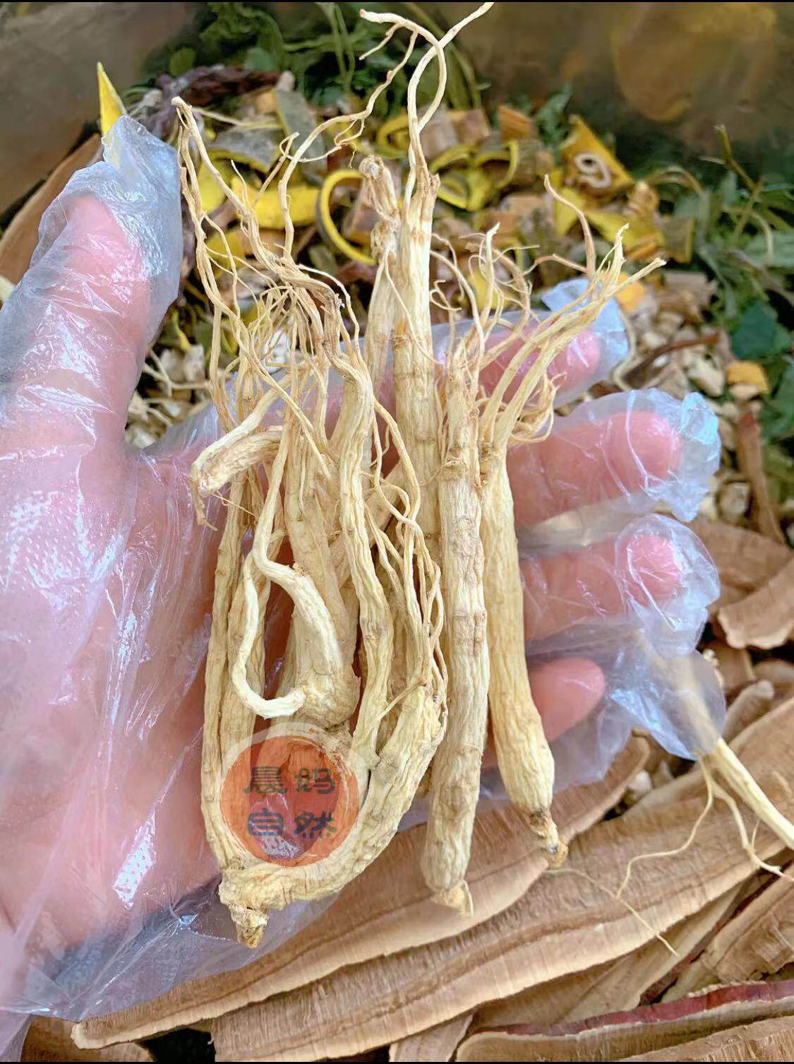 【低糖版膏方高浓缩定制 膏方】 小儿健脾膏 六物消食膏 气血膏