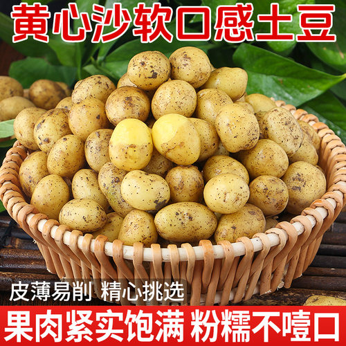 新鲜恩施小土豆【整箱】