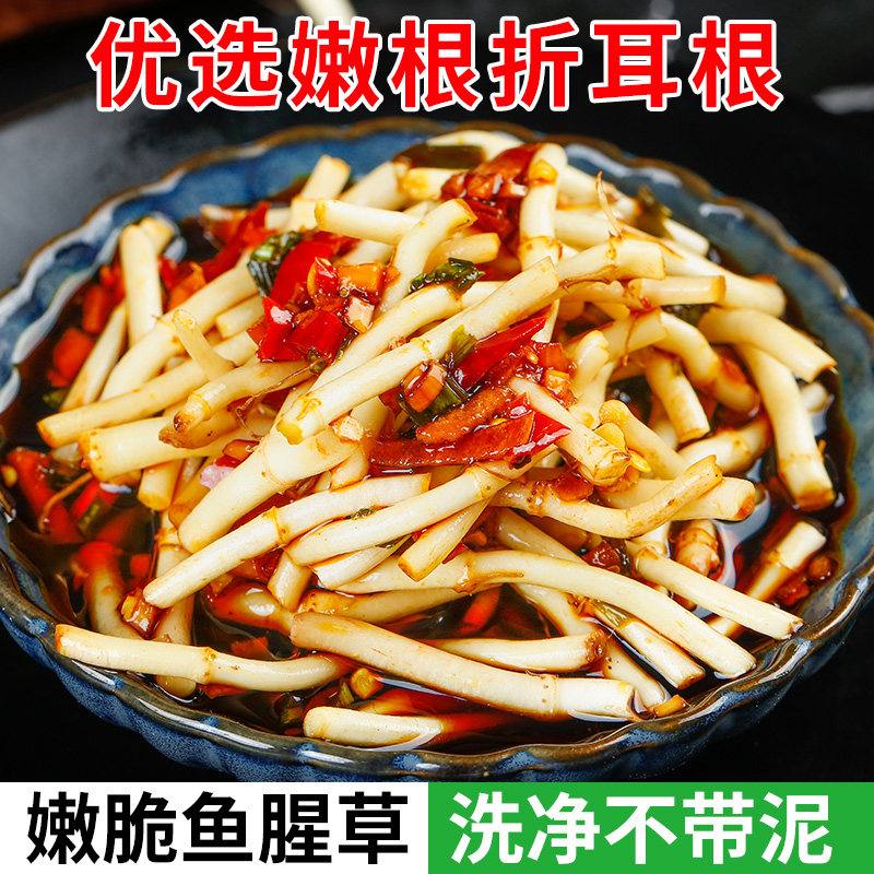 鲜嫩鱼腥草折耳根嫩芽凉拌下饭菜